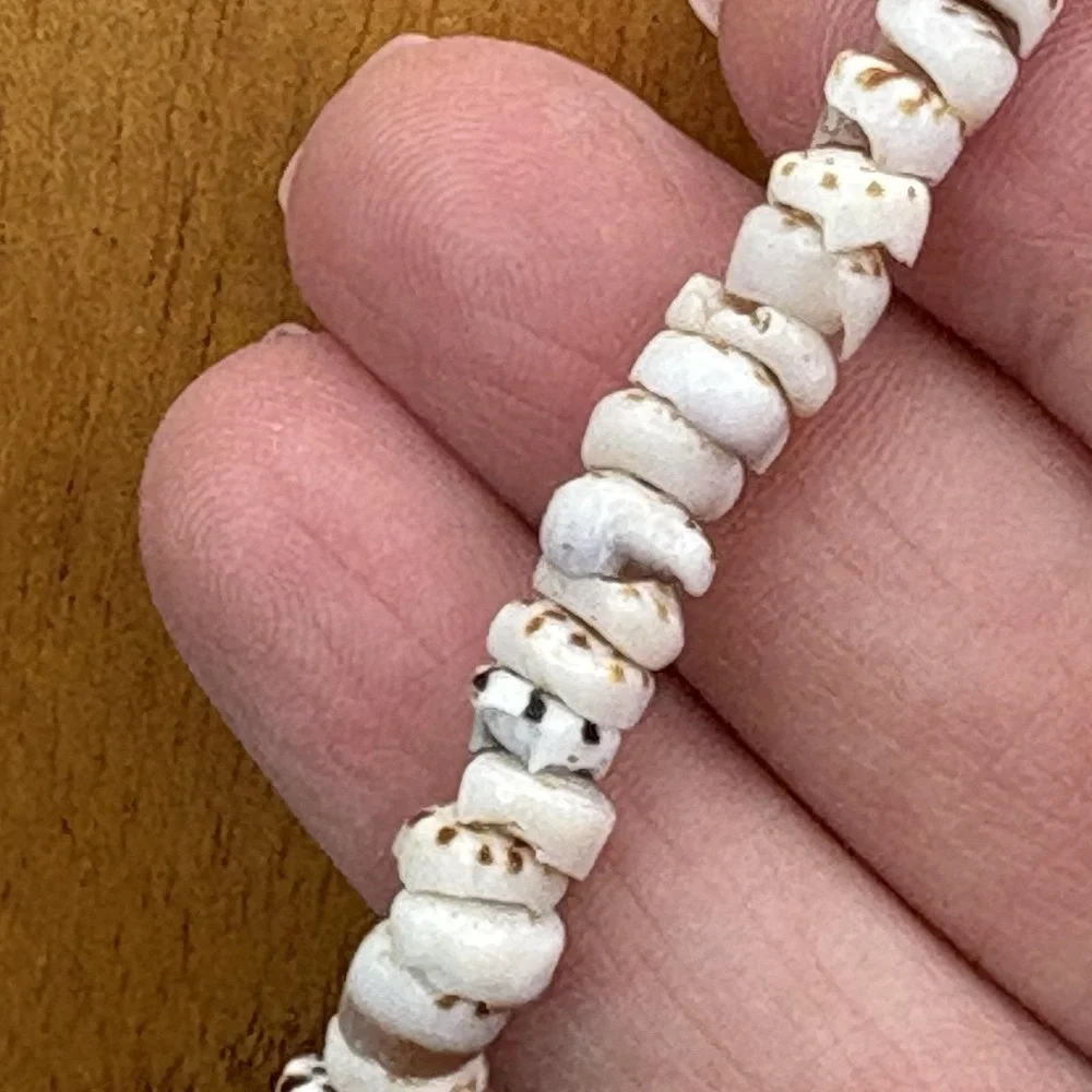 Authentic Hawaiian Puka Shell Necklace Tiger Cone Shells Hawaii Surfer 18